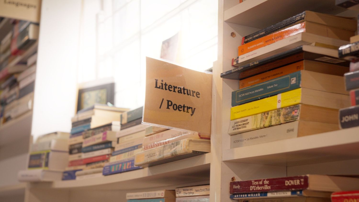 Bookshelf in a cozy bookstore with a Literature and Poetry section sign among stacked colorful books.
