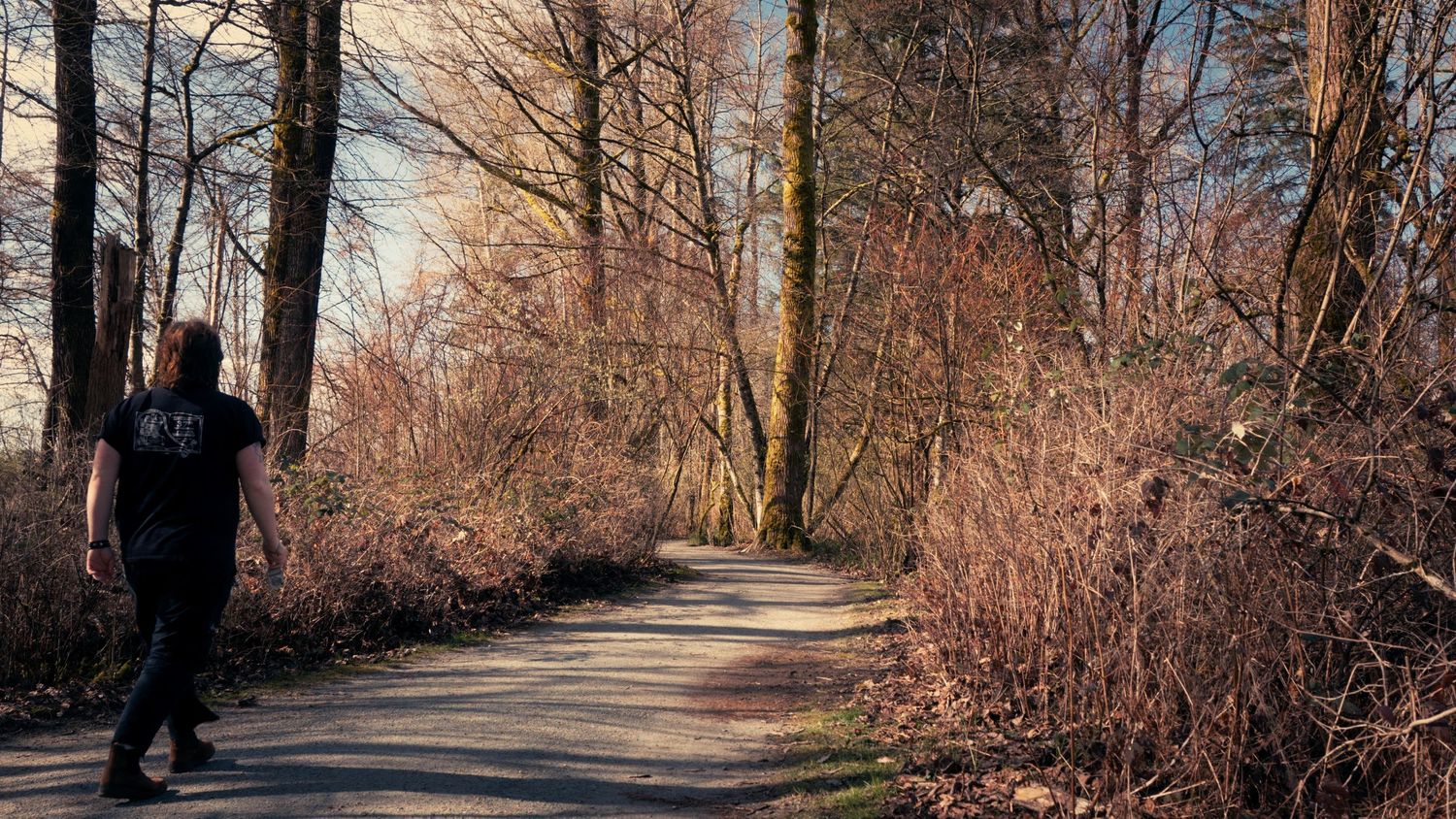 Person walking alone on a peaceful forest path surrounded by bare trees in winter.