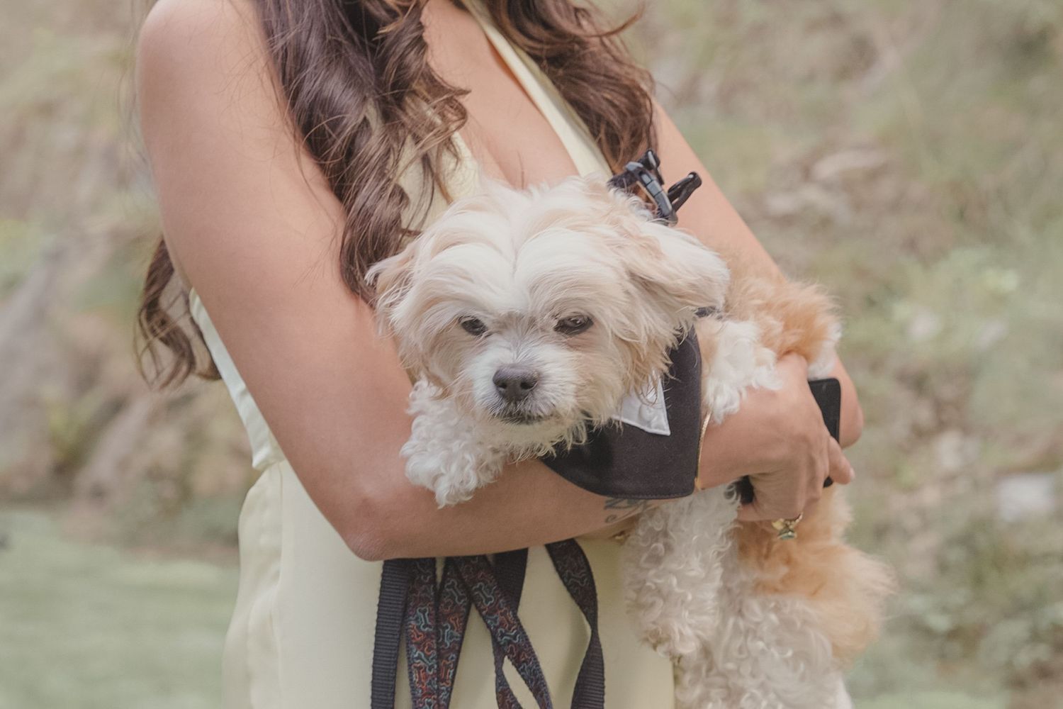 Woman in cream dress cradling a fluffy white Maltese dog outdoors in a natural setting.