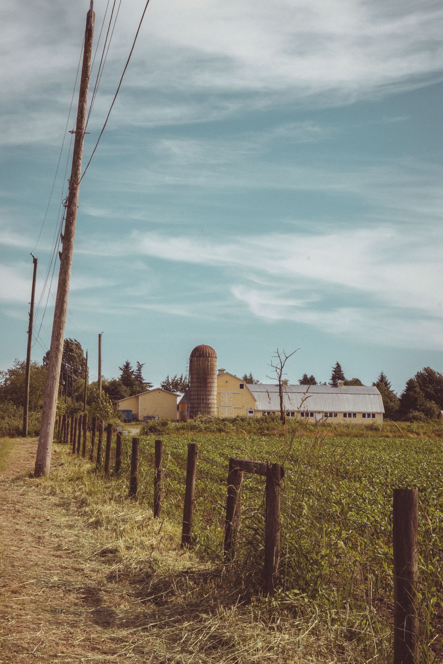 Farm lane with wooden fence posts, power lines, silo and barn buildings surrounded by green fields and trees.