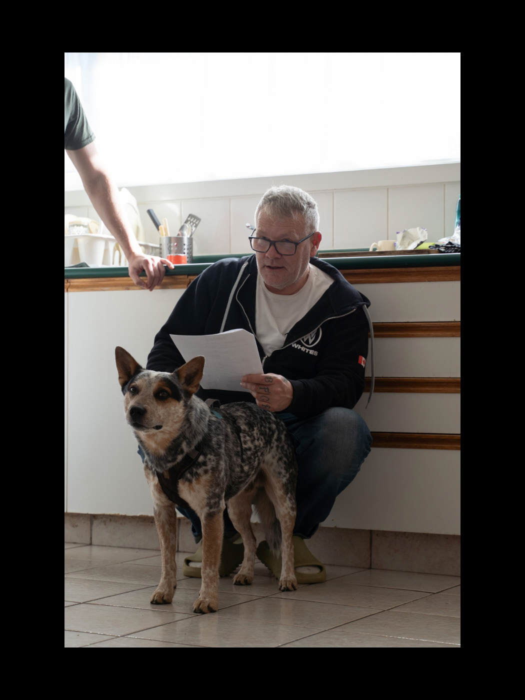 An older man wearing glasses crouches beside an Australian cattle dog while reading papers in a kitchen.