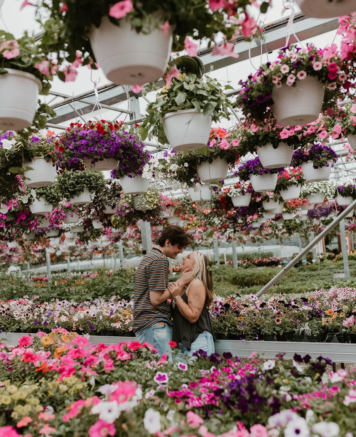 Couple sharing a romantic kiss surrounded by colorful hanging flower baskets and blooming plants in a lush greenhouse.