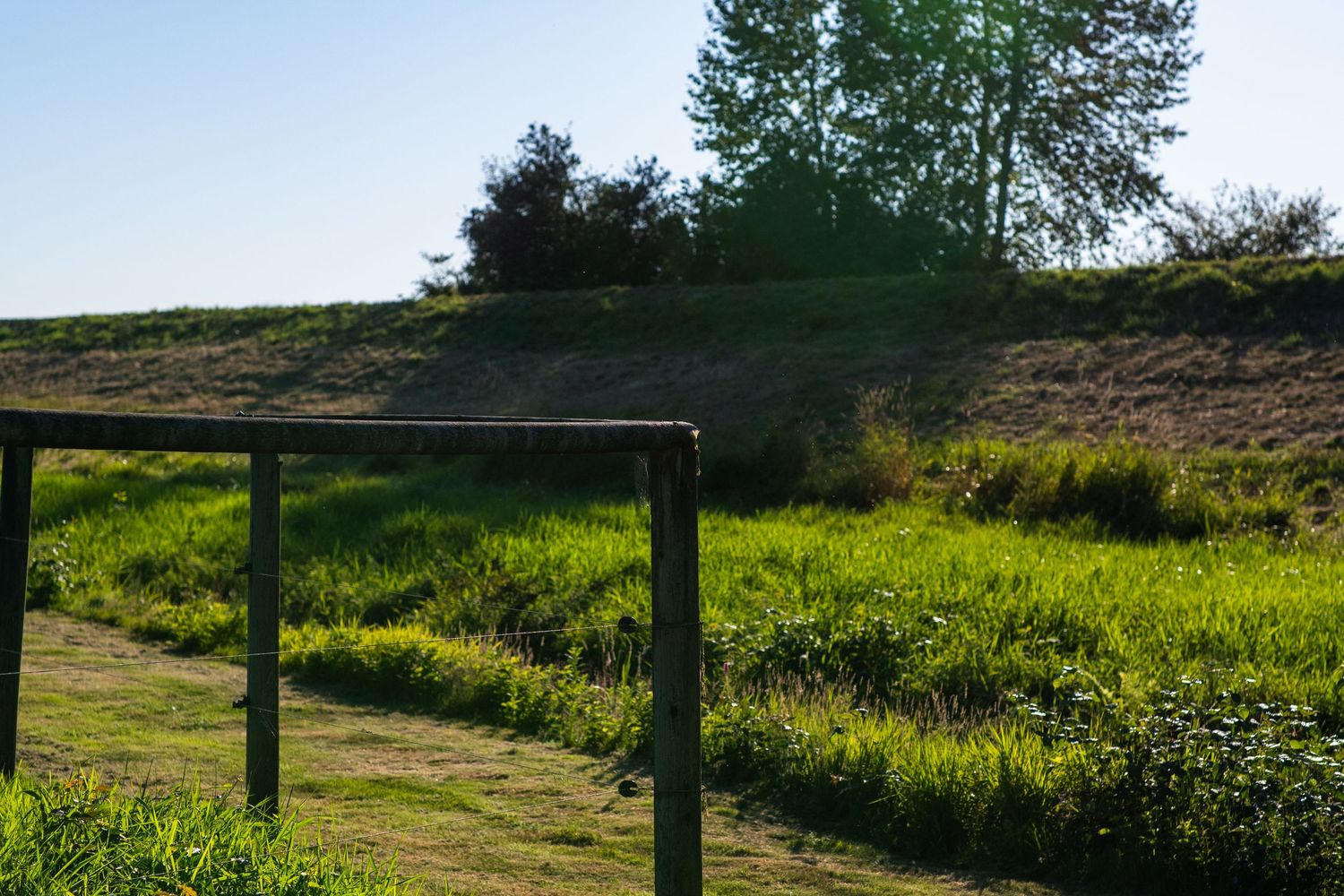 Wooden fence along a lush green hillside meadow with trees under a clear blue sky.