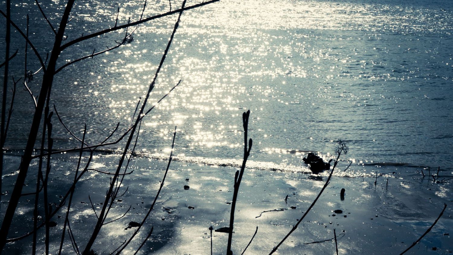 Sunlight glistening on a partially frozen lake surface with bare winter branches in the foreground.