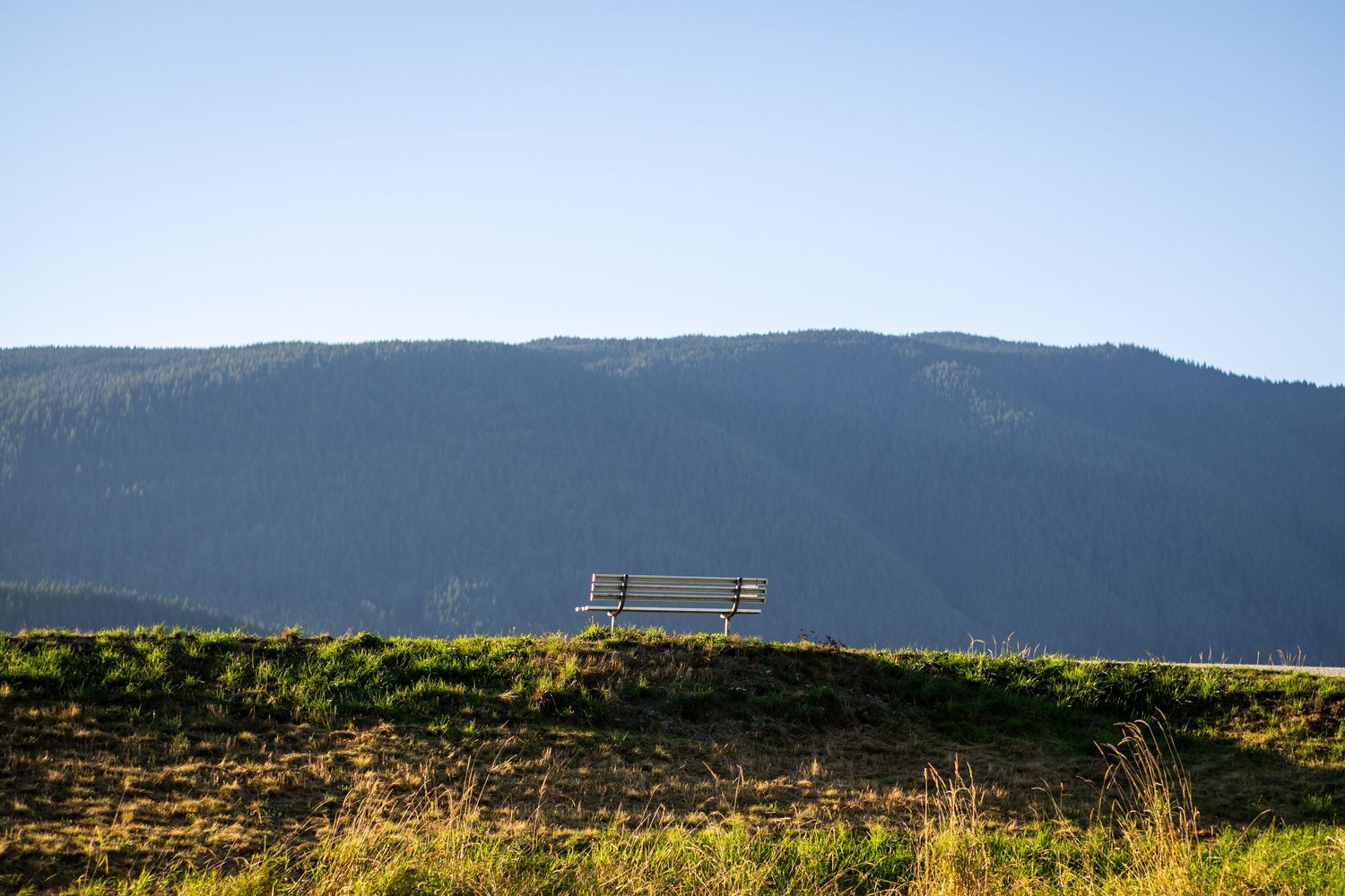 A lone wooden bench sits atop a green hillside with a forested mountain backdrop under a clear blue sky.