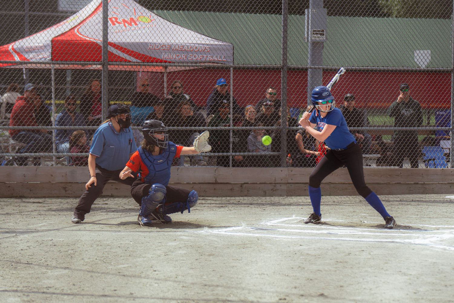 Batter in blue uniform prepares to swing as catcher and umpire await pitch during softball game.