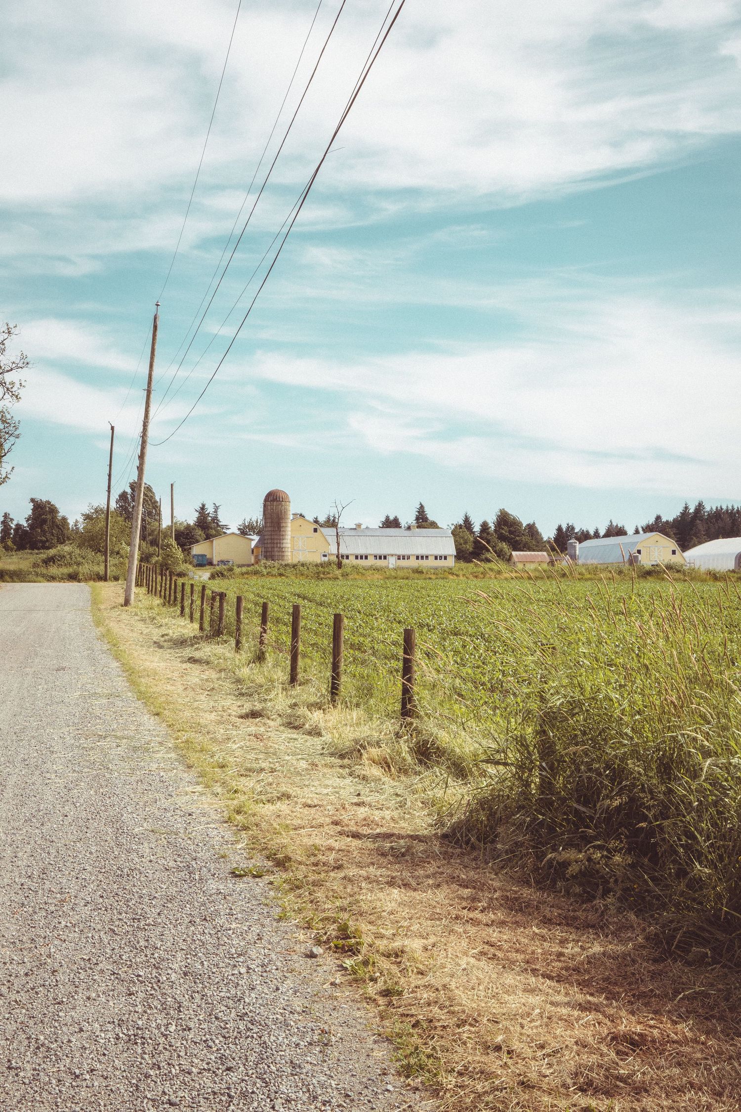 Rural farm road with wooden fence, power lines, green fields, silo and barn buildings under a blue sky.