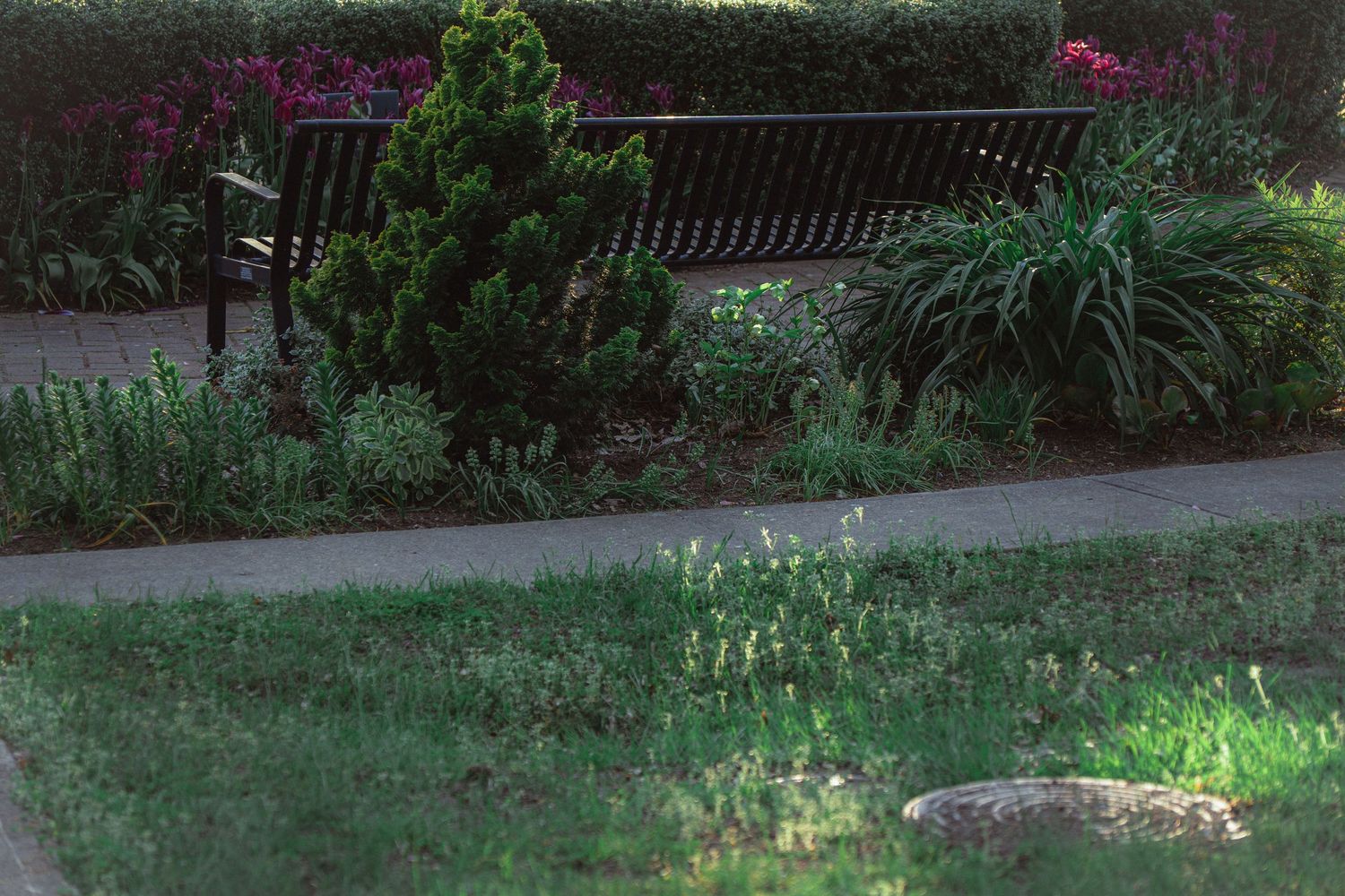 A park bench surrounded by lush green plants and colorful flowers in a garden setting.