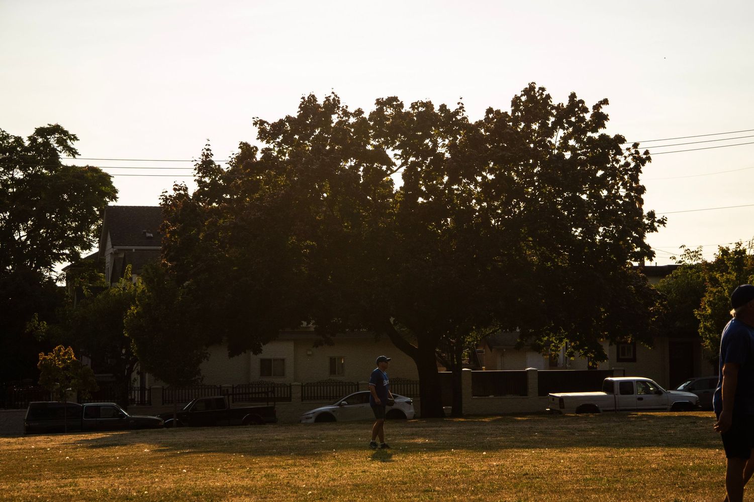 Silhouette of a person standing in a park at golden hour with a large tree and houses in the background.