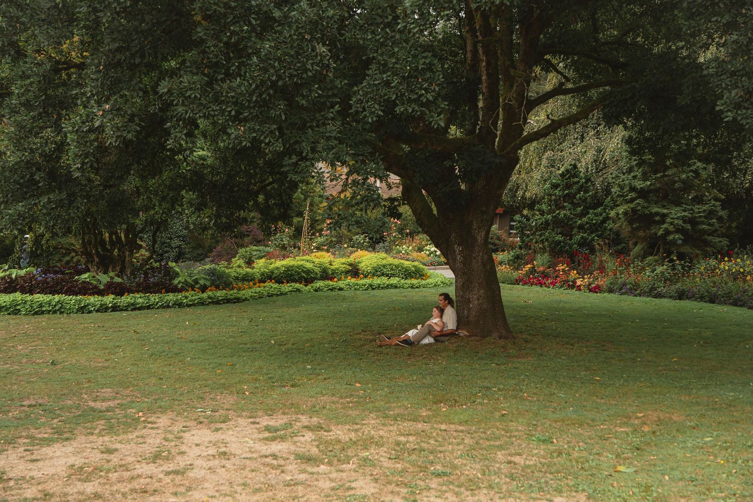 Person sitting under a large tree in a lush green park with colorful flower beds in the background.