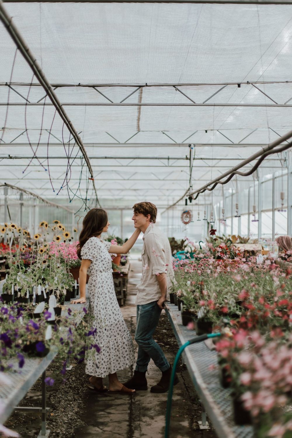 A couple shares a tender moment among colorful flowers in a sunlit greenhouse nursery.