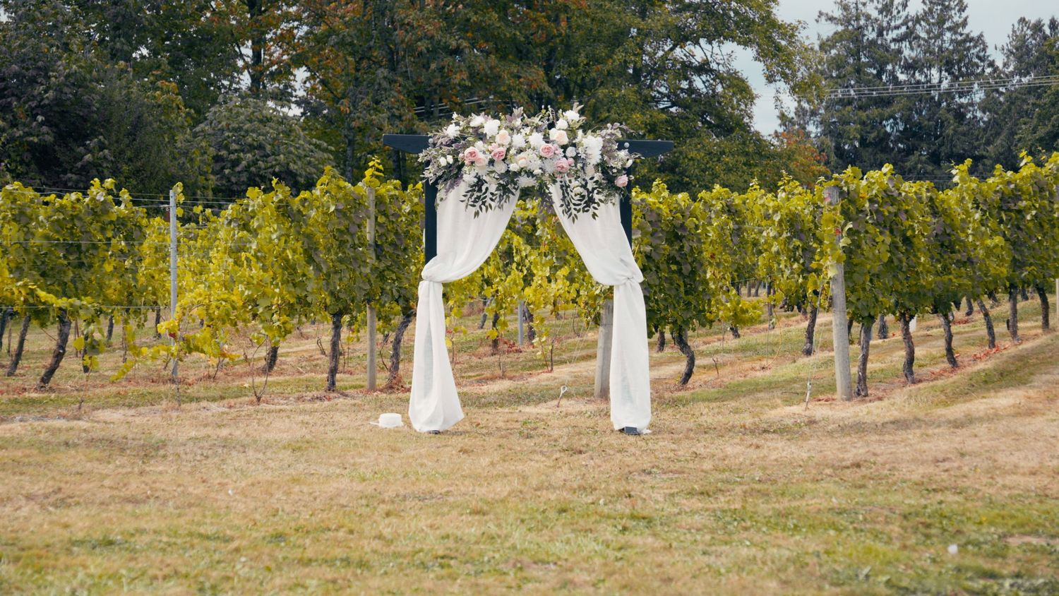 Elegant wedding arch with white draping and floral arrangement set in a lush vineyard.