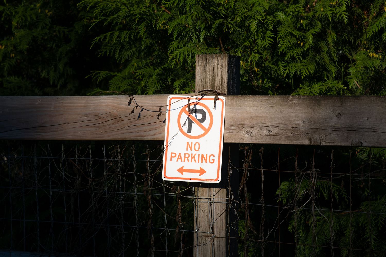 No parking sign mounted on a wooden fence surrounded by dark green trees at night.