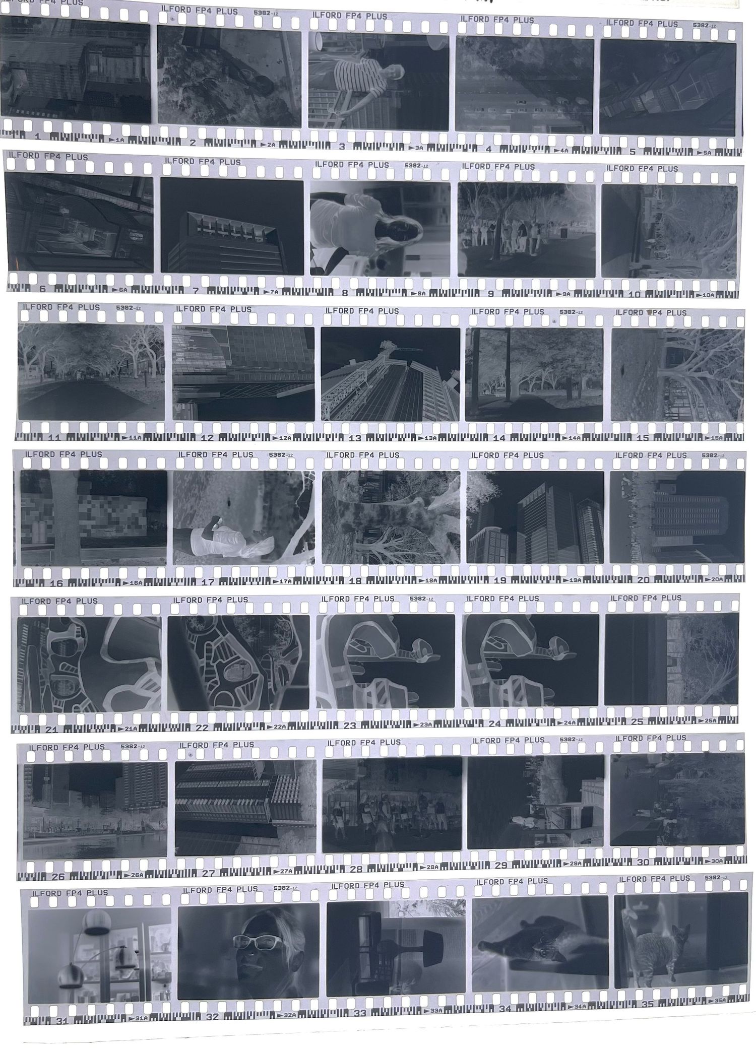 Black and white film contact sheet displaying various outdoor and architectural photographs.