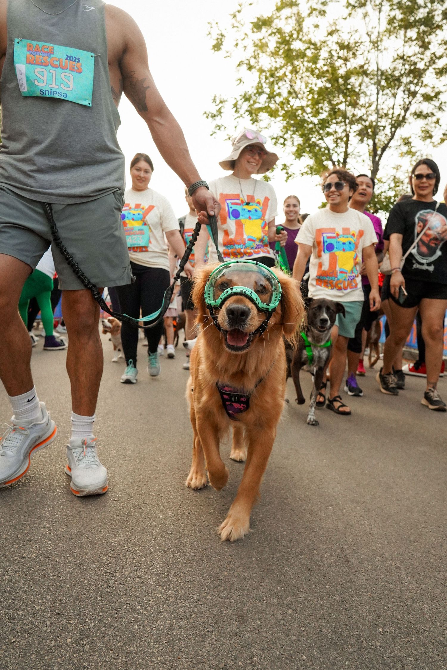A golden retriever wearing a bandana participates in a community walk event on a paved path.