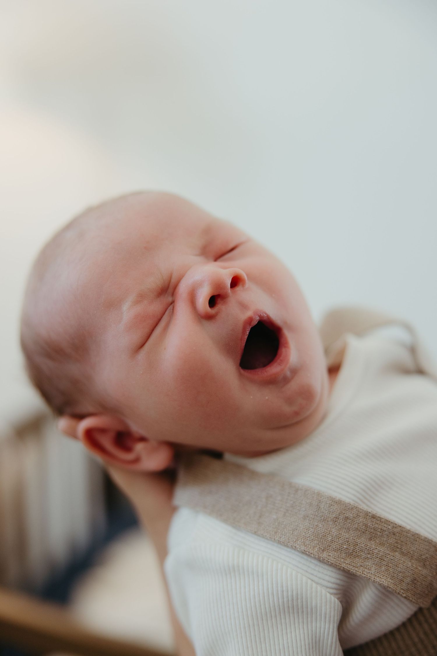 Close-up portrait of a newborn baby yawning widely while being cradled in soft blankets.
