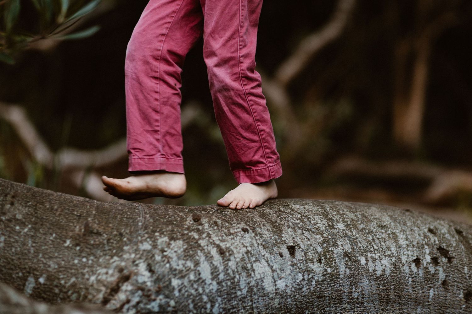 Close-up of bare feet of a child in pink pants balancing on a fallen tree log.