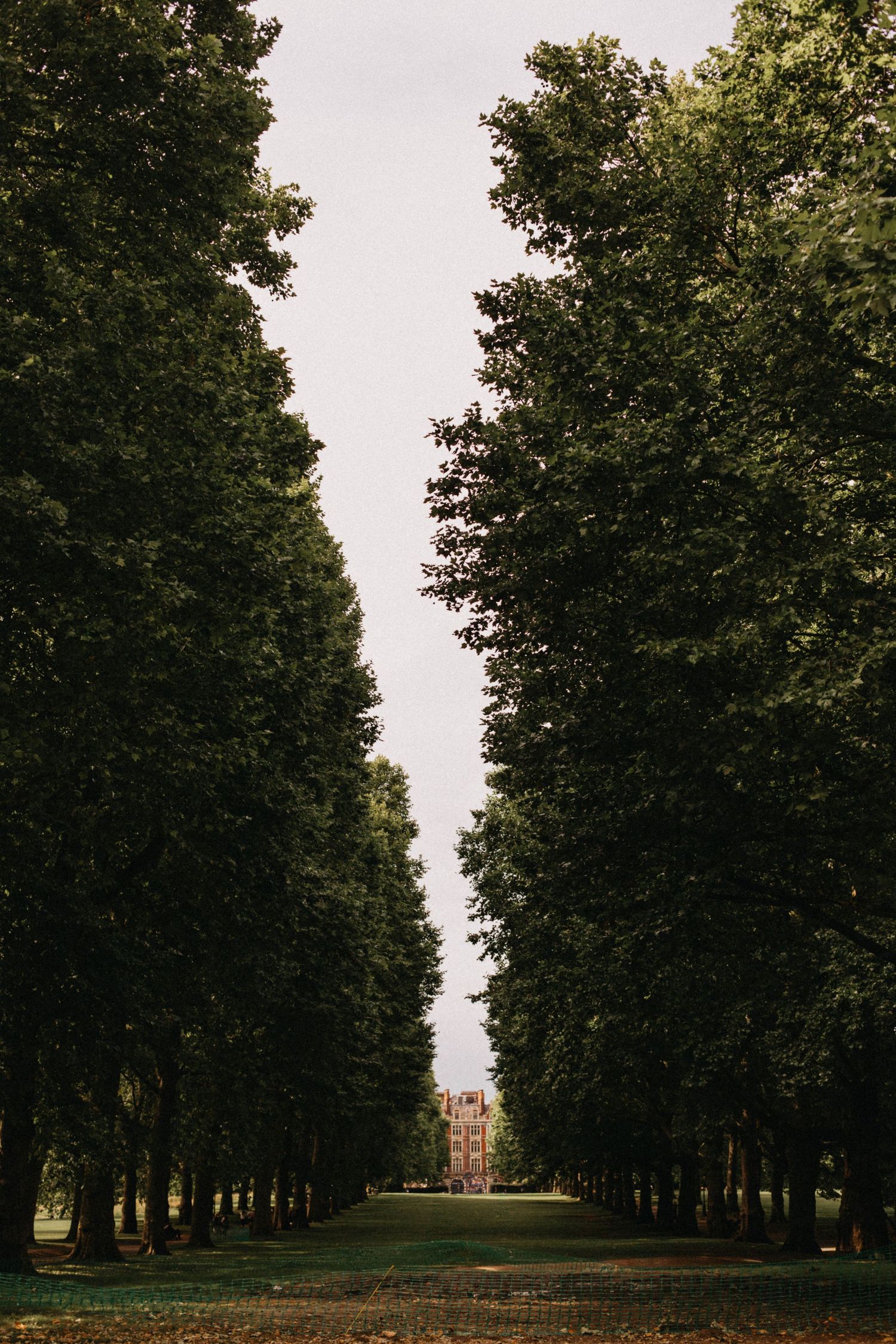Tree-lined avenue leading to a red brick building in a lush green park.