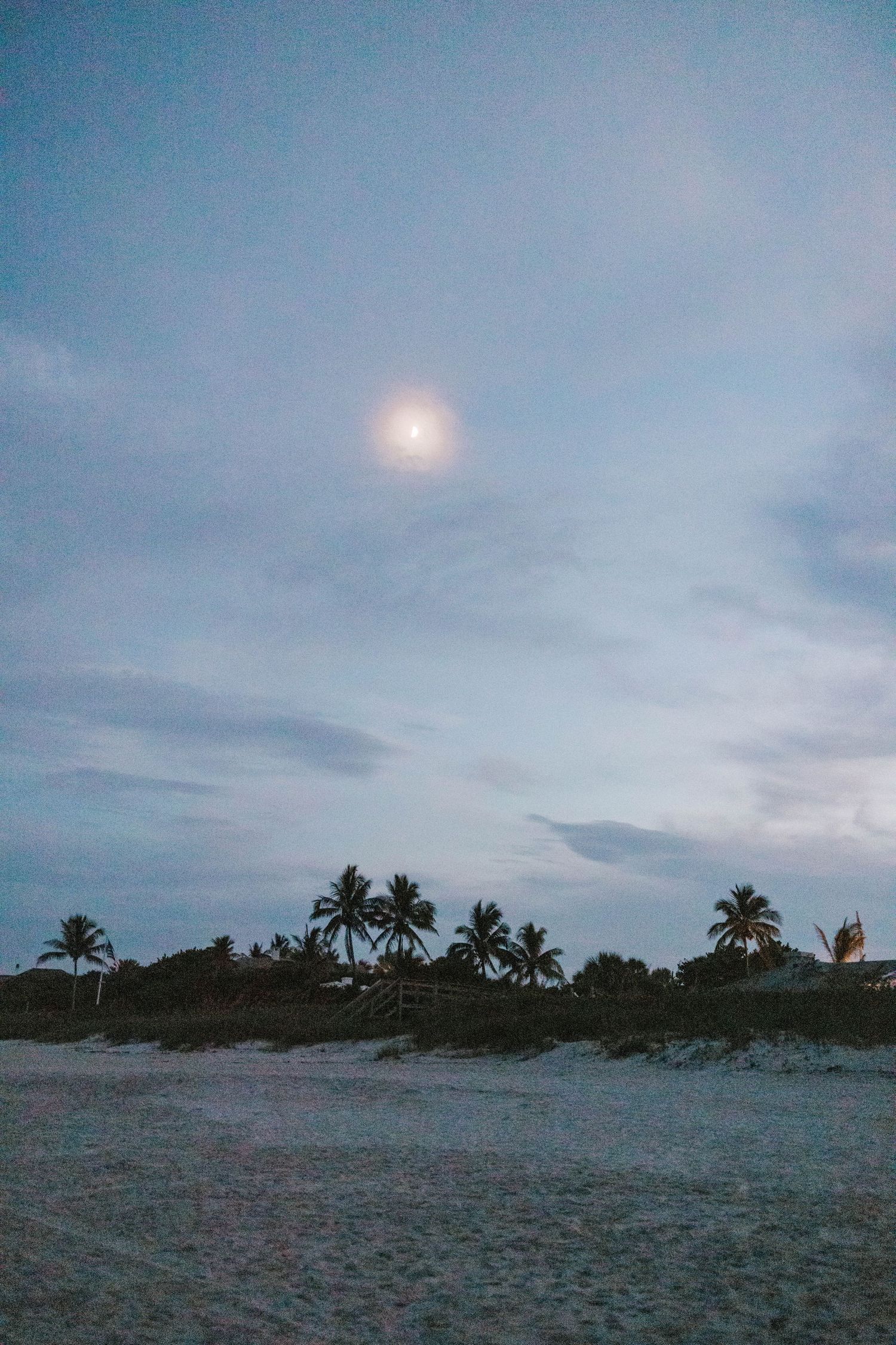 A serene moonlit beach scene with silhouetted palm trees against a cloudy sky.