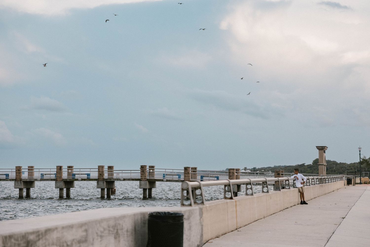 Lone person standing on a scenic coastal pier under a cloudy sky with birds.