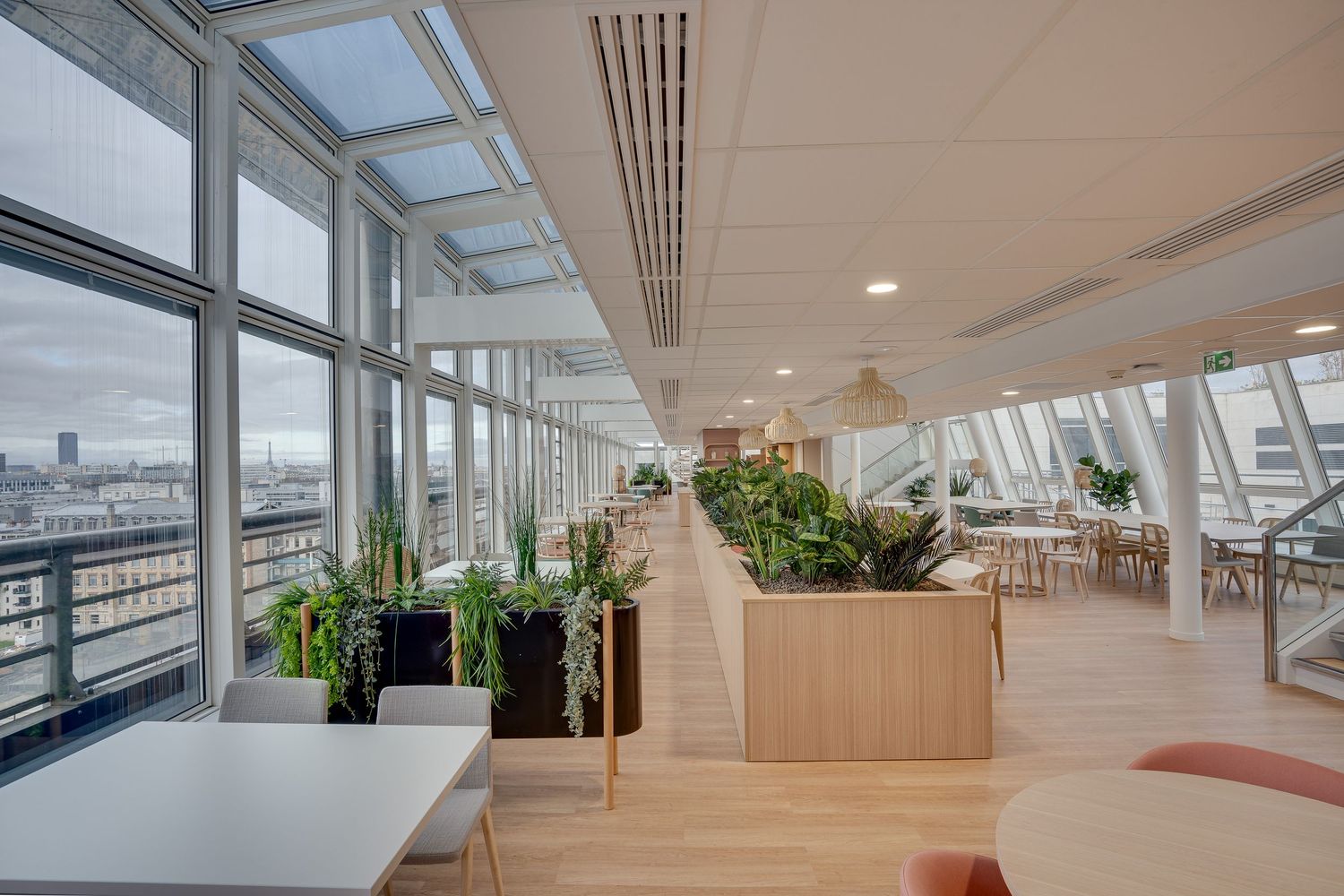 Bright modern office space with floor-to-ceiling windows, indoor plants, and city skyline views.