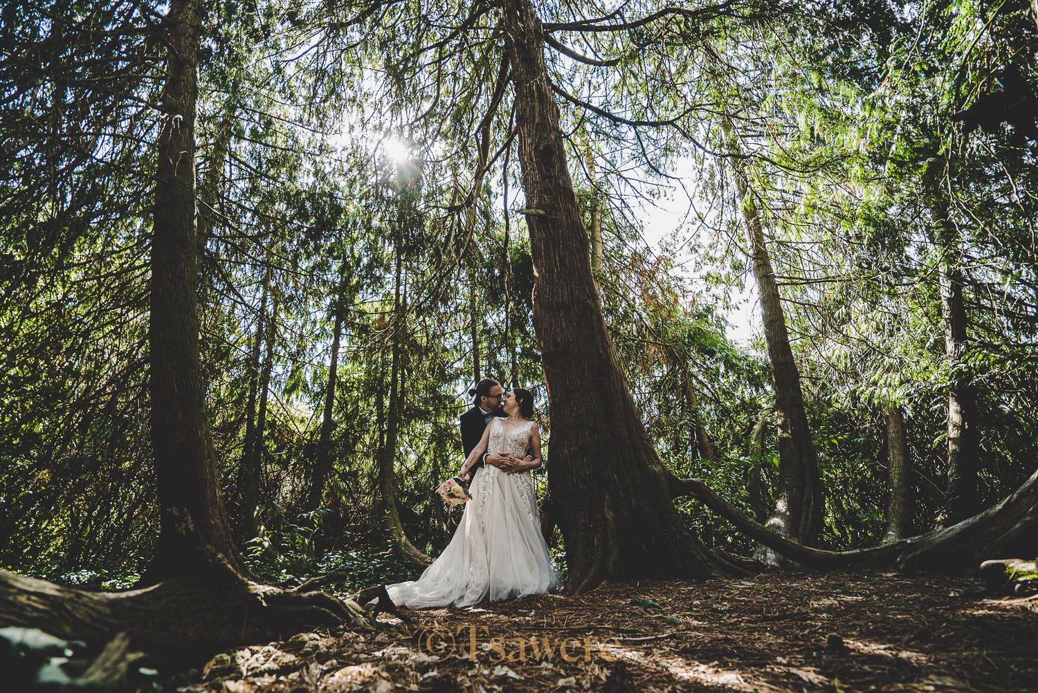 Bride and groom sharing intimate moment among tall trees in sunlit forest wedding portrait.