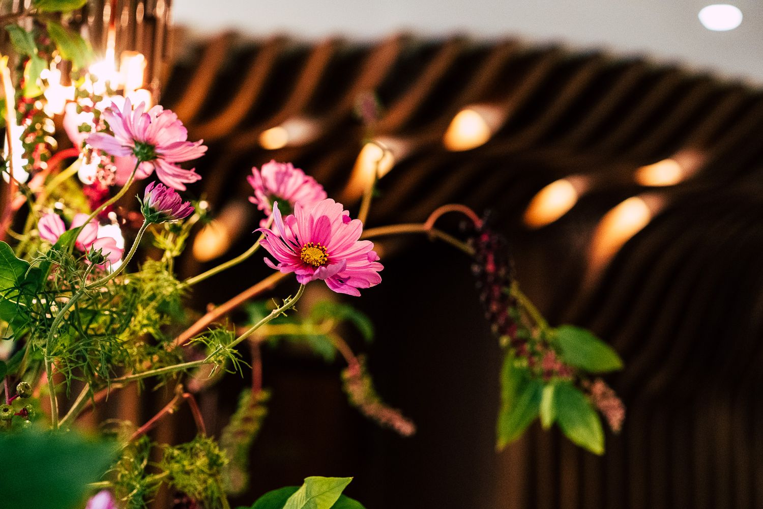 Pink cosmos flowers with green foliage in a warmly lit upscale restaurant interior.