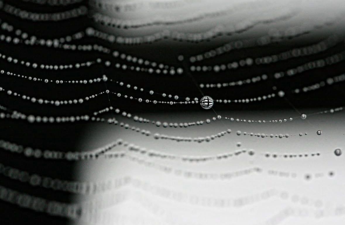 A black and white pattern of string lights or decorative dots creates a wavy design against a dark background.