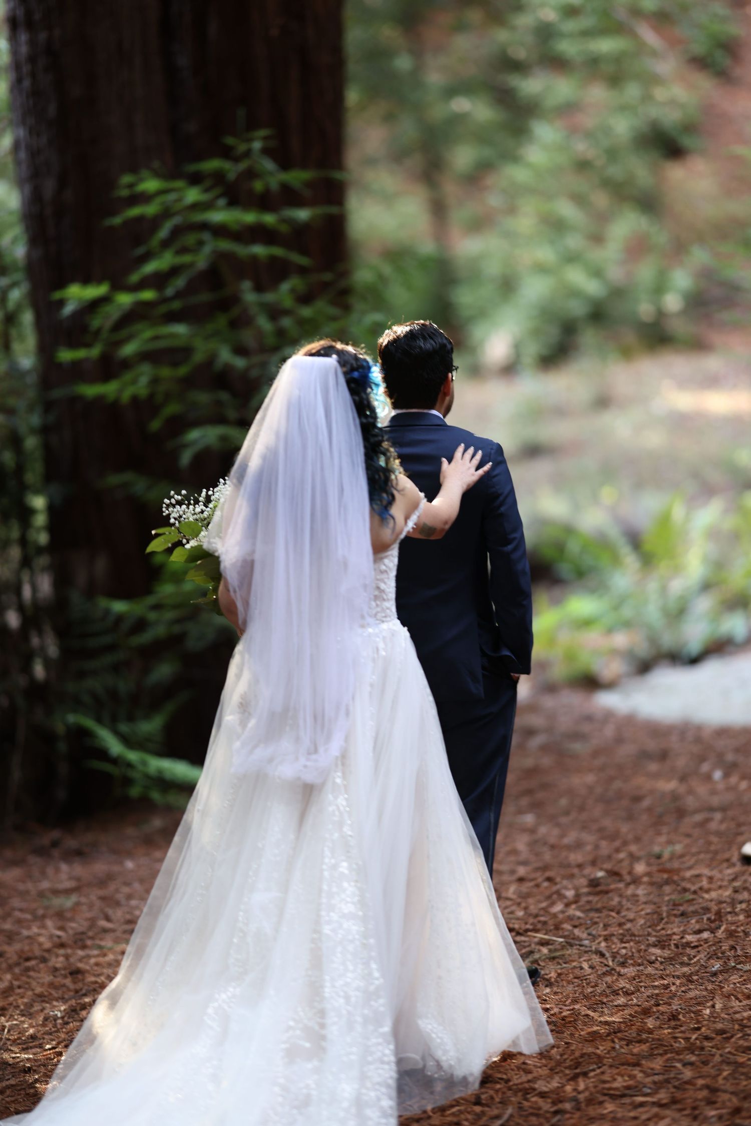 A couple in wedding attire embracing on a forest path lined with redwood trees and ferns.