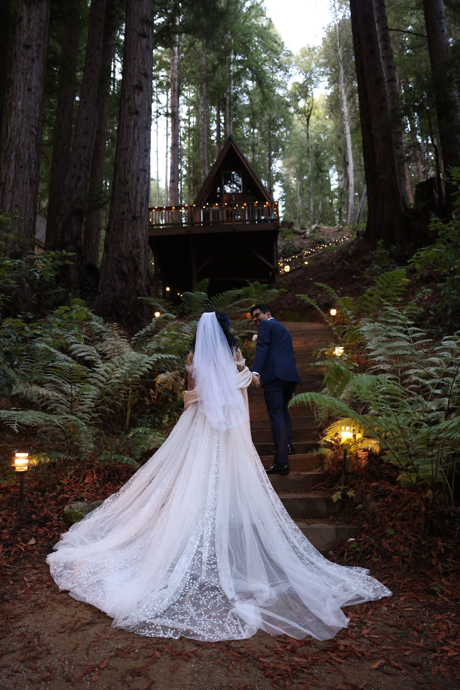 A couple ascends stone steps through a misty forest to a wooden gazebo, surrounded by ferns and twinkling lights.