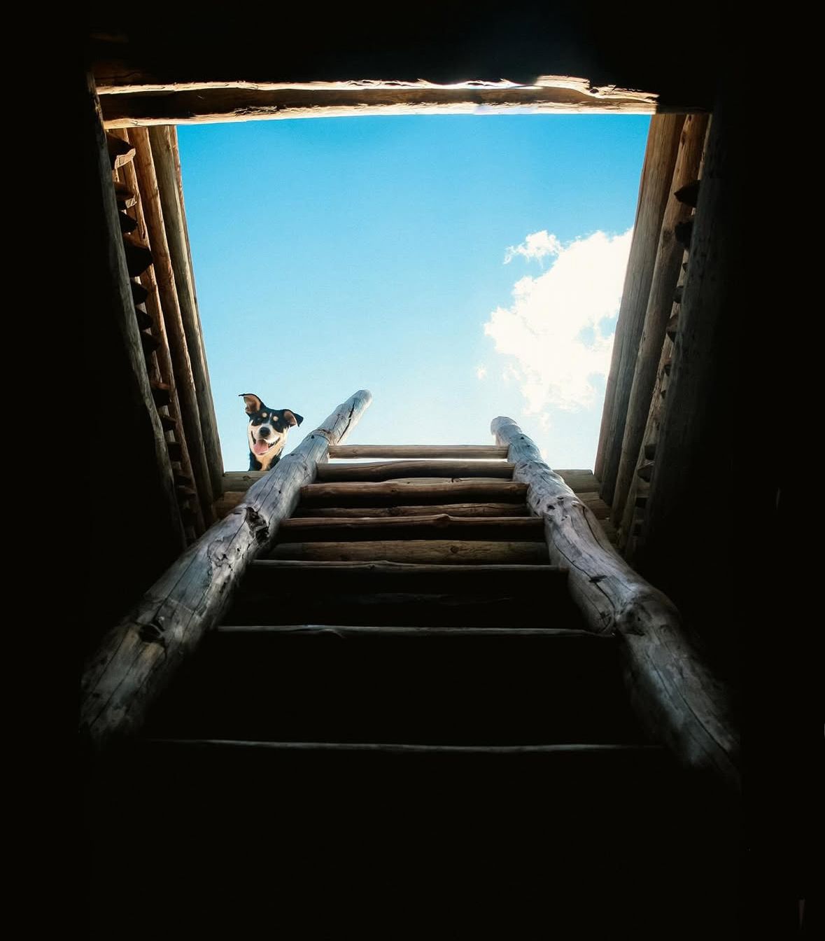 Looking up through dark wooden staircase opening with bright sky visible from below.