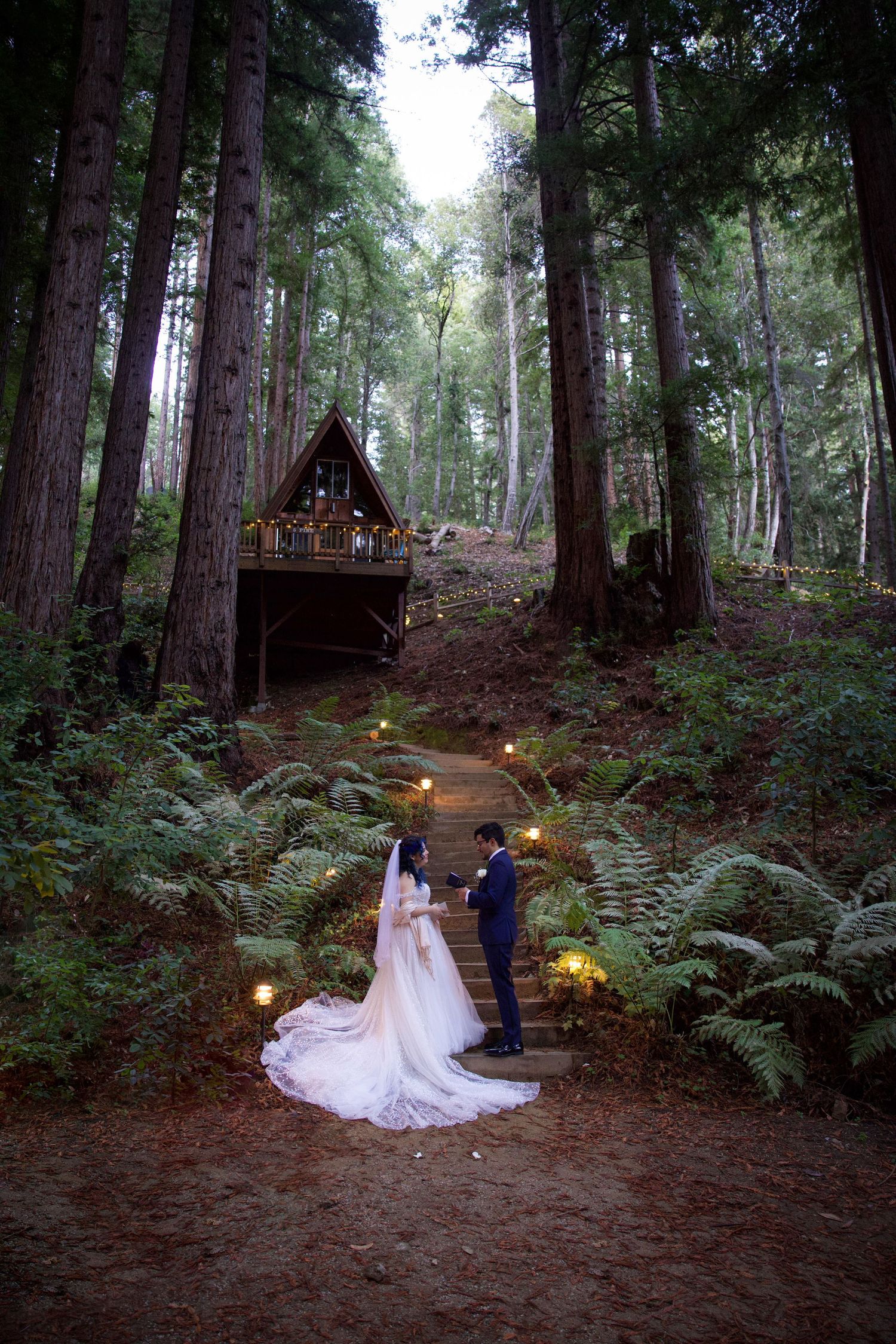 A romantic wedding ceremony takes place in a serene redwood forest setting illuminated by soft glowing lights.