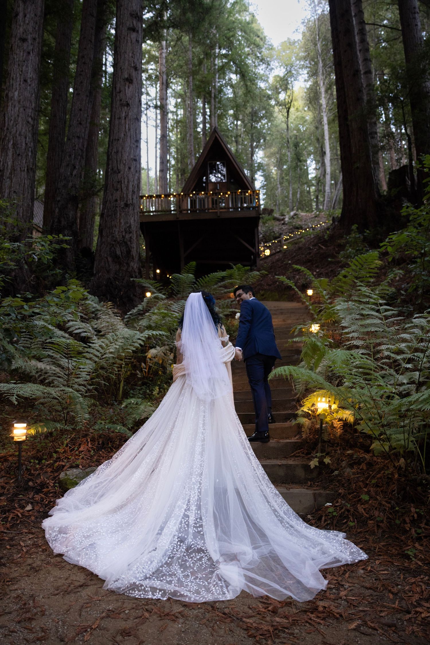 A wedding couple walks through a magical forest path lined with ferns and glowing lanterns as a long white train trails behind them.