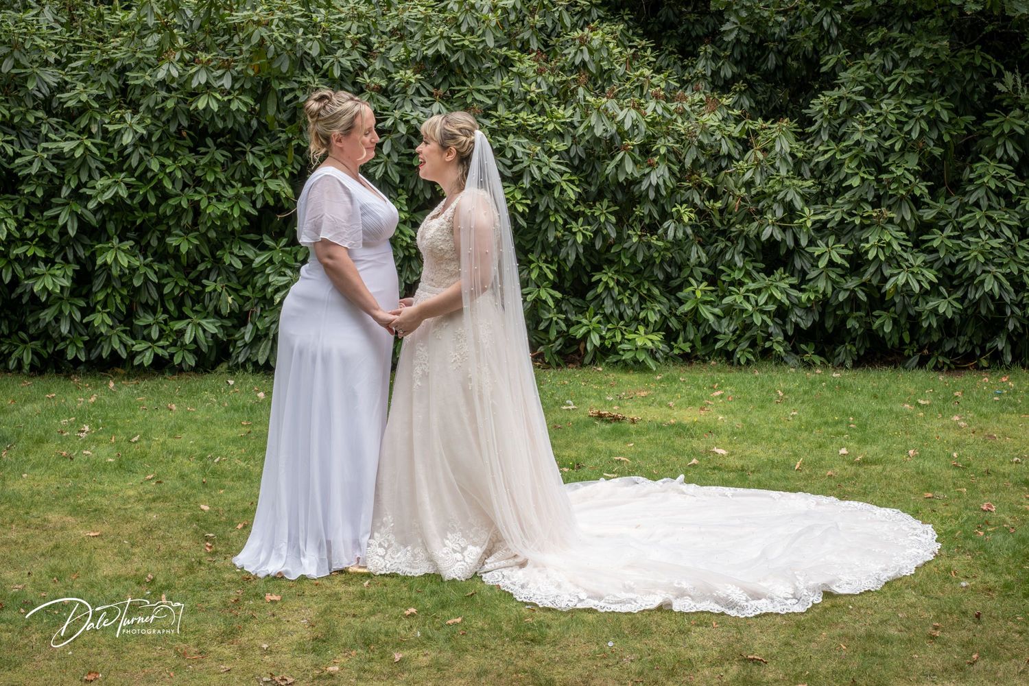 Wedding party poses for formal portraits on lawn with leafy green background.