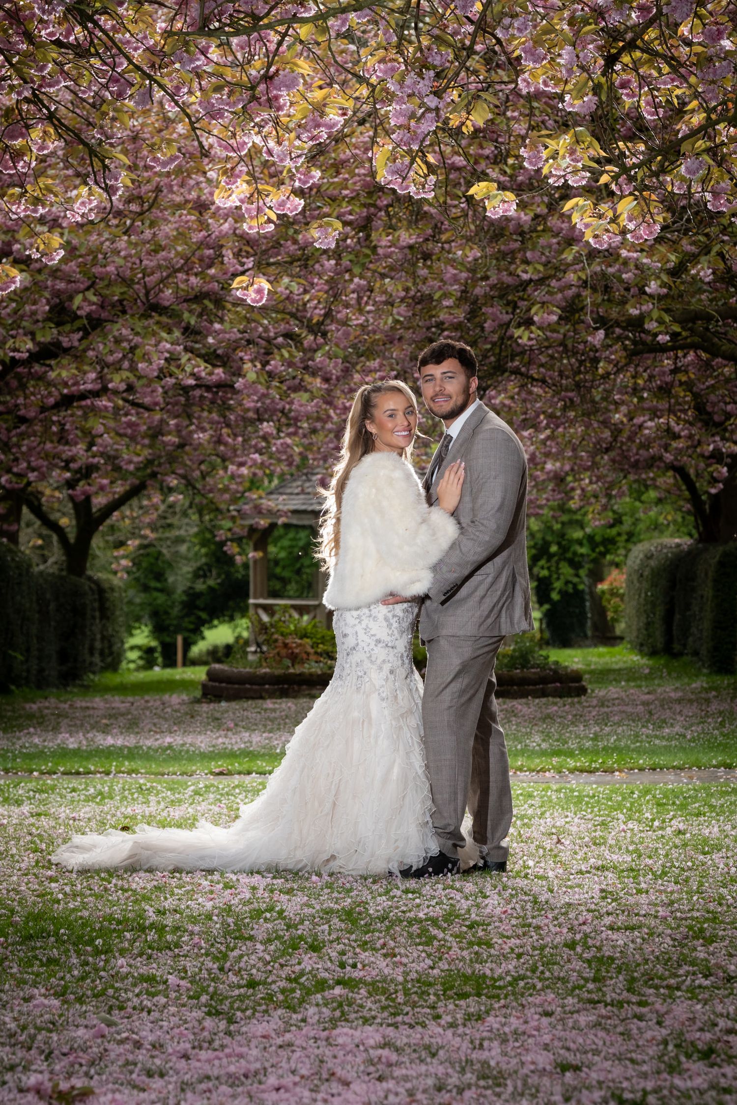 Wedding portrait under blooming cherry blossom trees with petals scattered on ground.