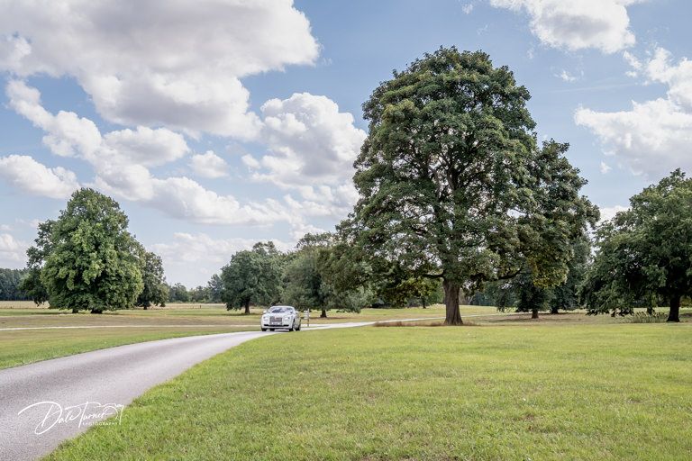 Panoramic view of green rolling hills and scattered trees under blue summer sky.