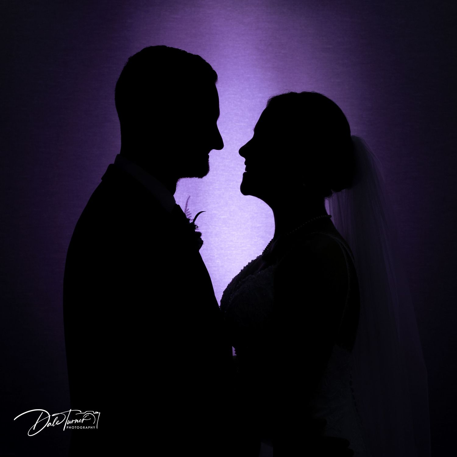 Artistic silhouette wedding portraits against a purple backlit background.