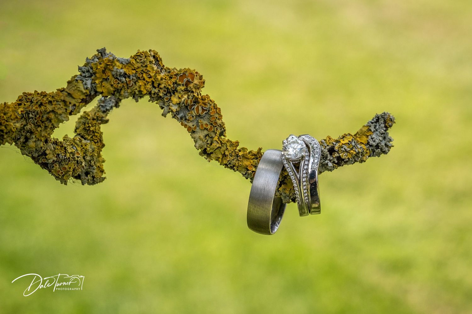 Wedding rings photographed on natural moss with shallow depth of field.