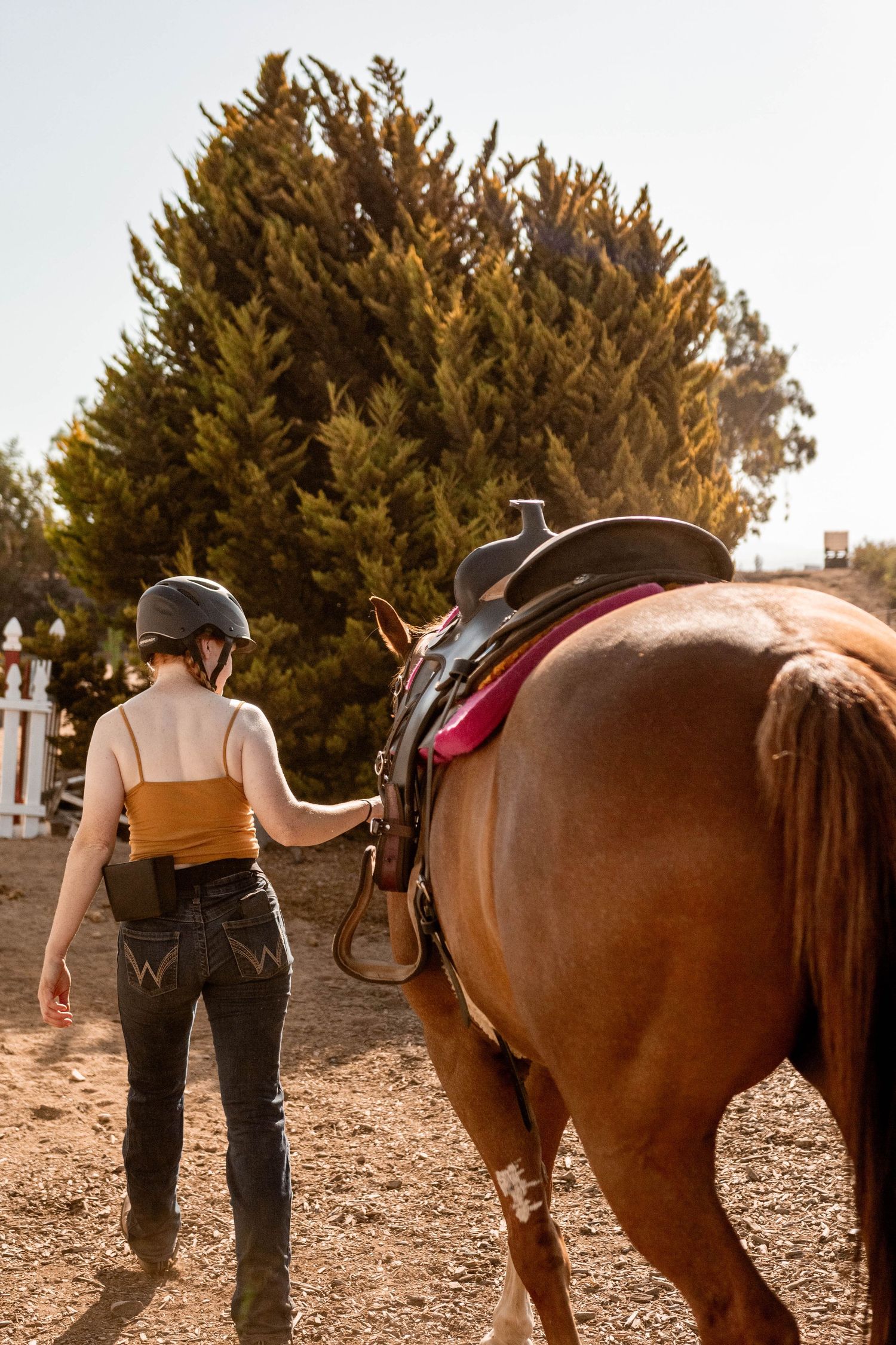Girl leads horse to arena