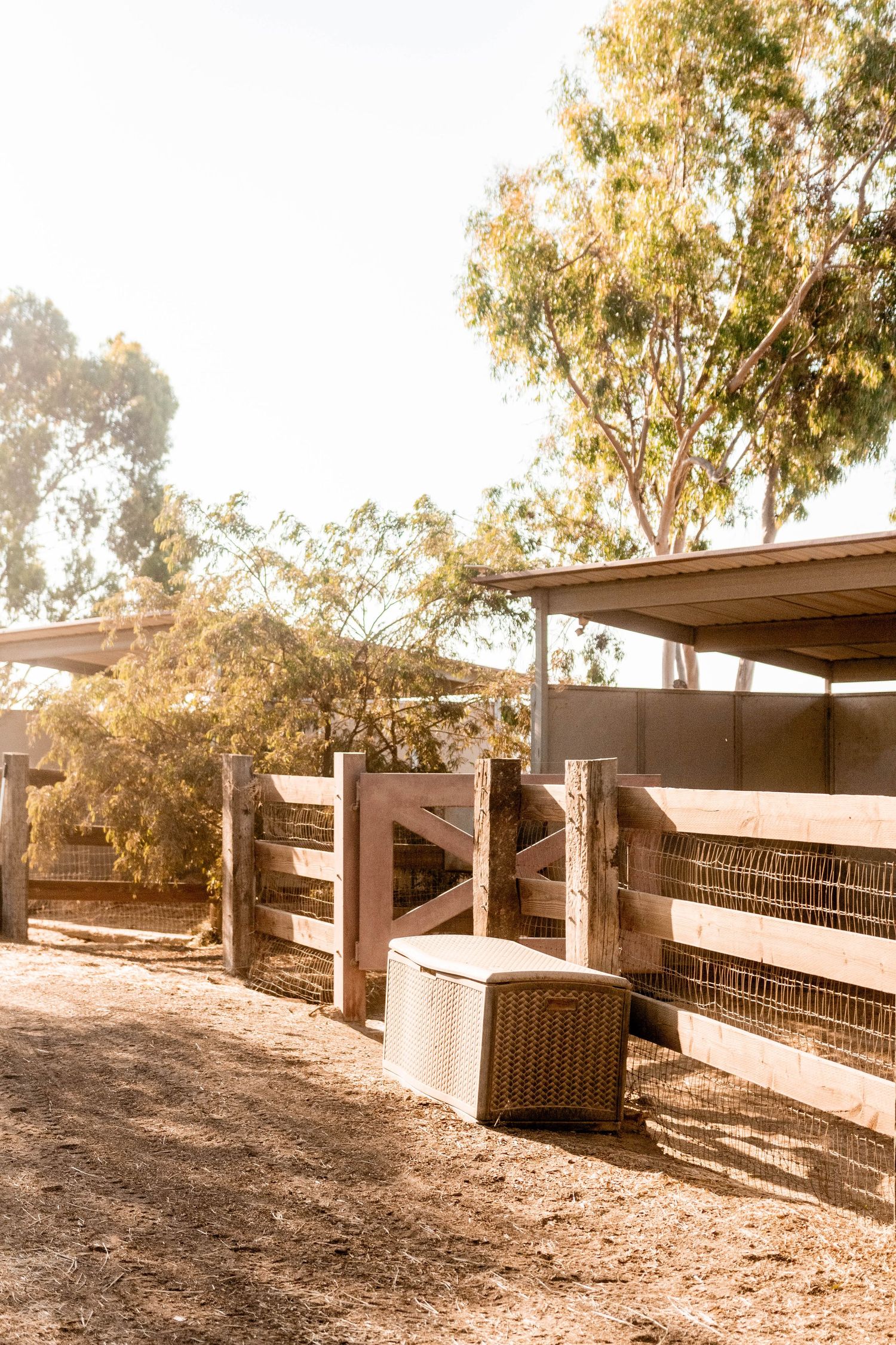 ranch yard at Hidden Hills Ranch