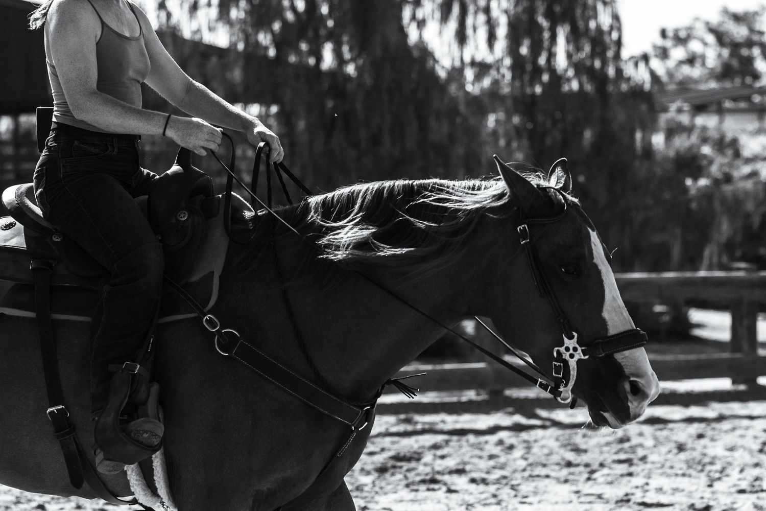 girl riding horse in an area with Western gear