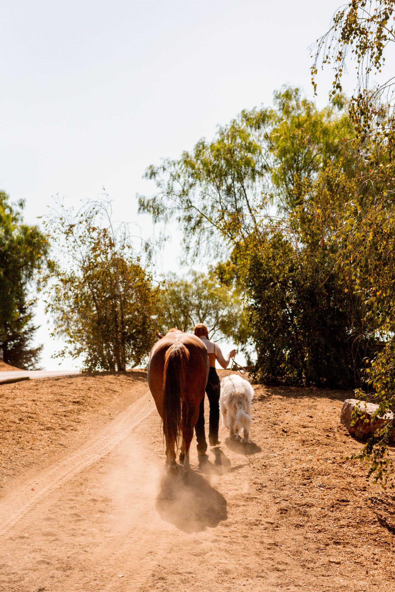 girl and horse walking across ranch yard in San Diego