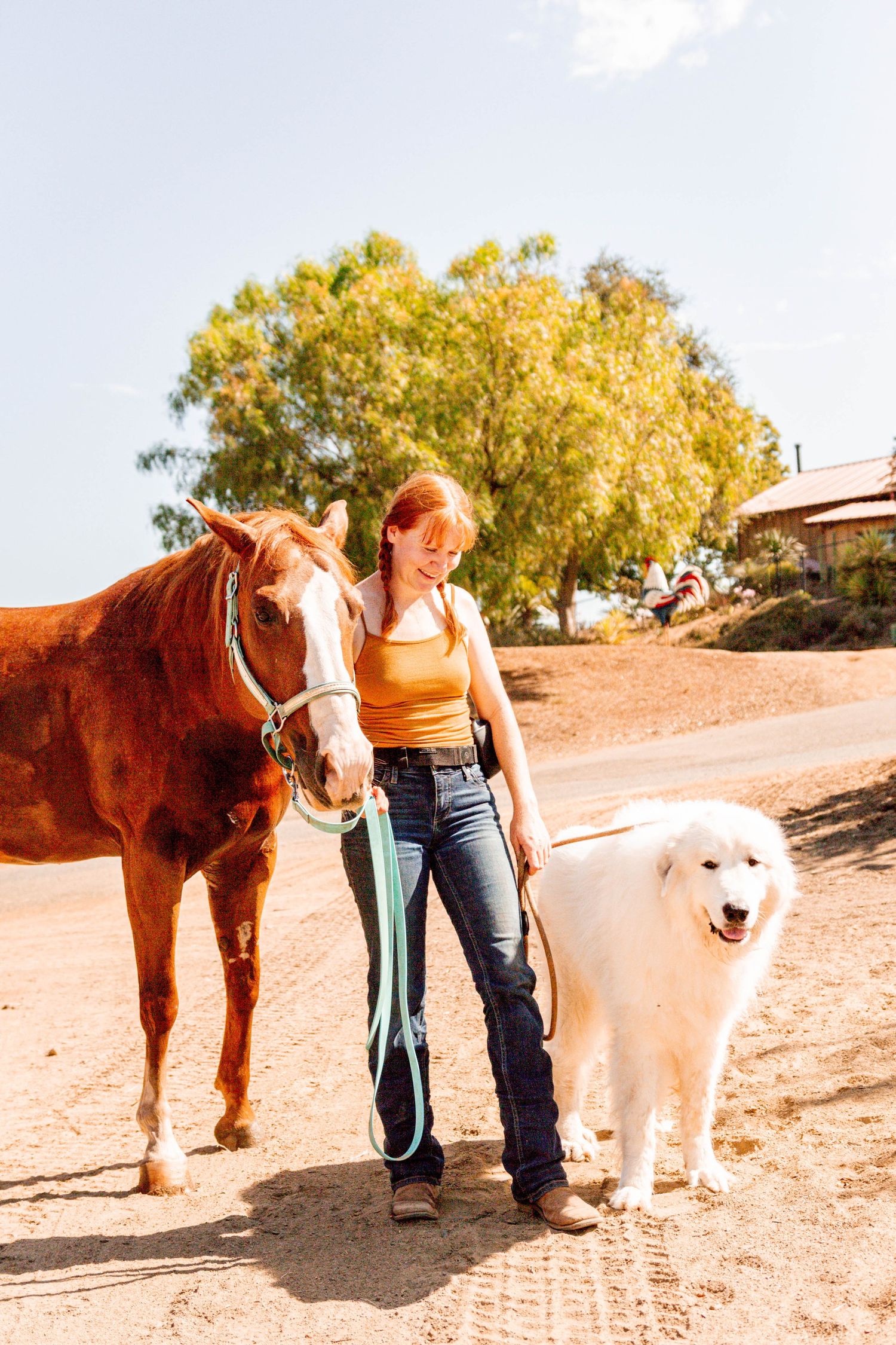 Girl, horse, and dog stand in the ranch yard.