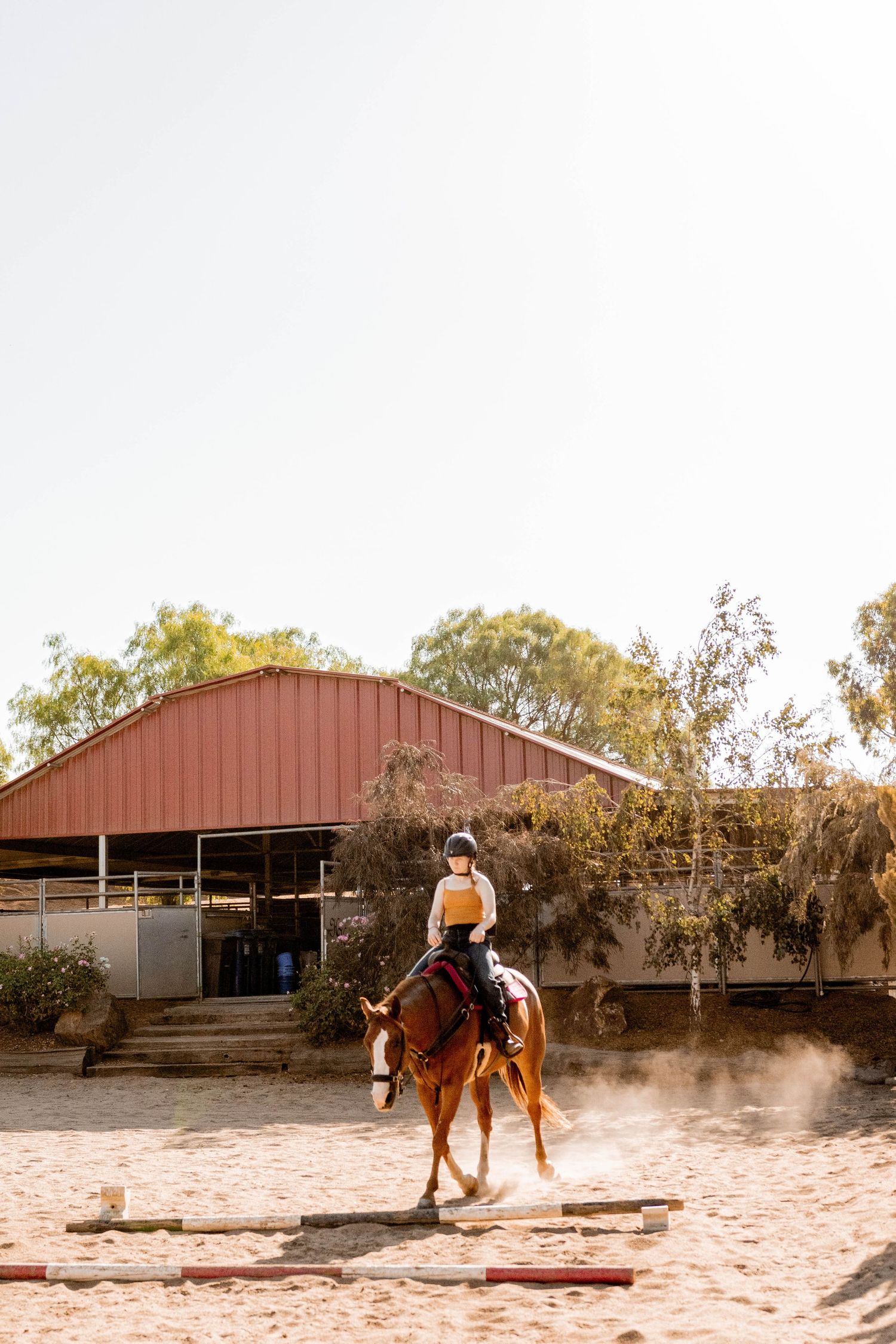 Quarter horse and girl riding through obstacles