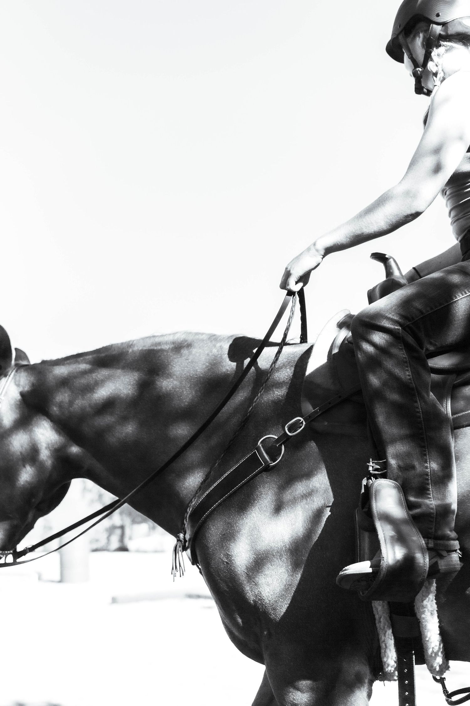 artistic photo of horse and girl
