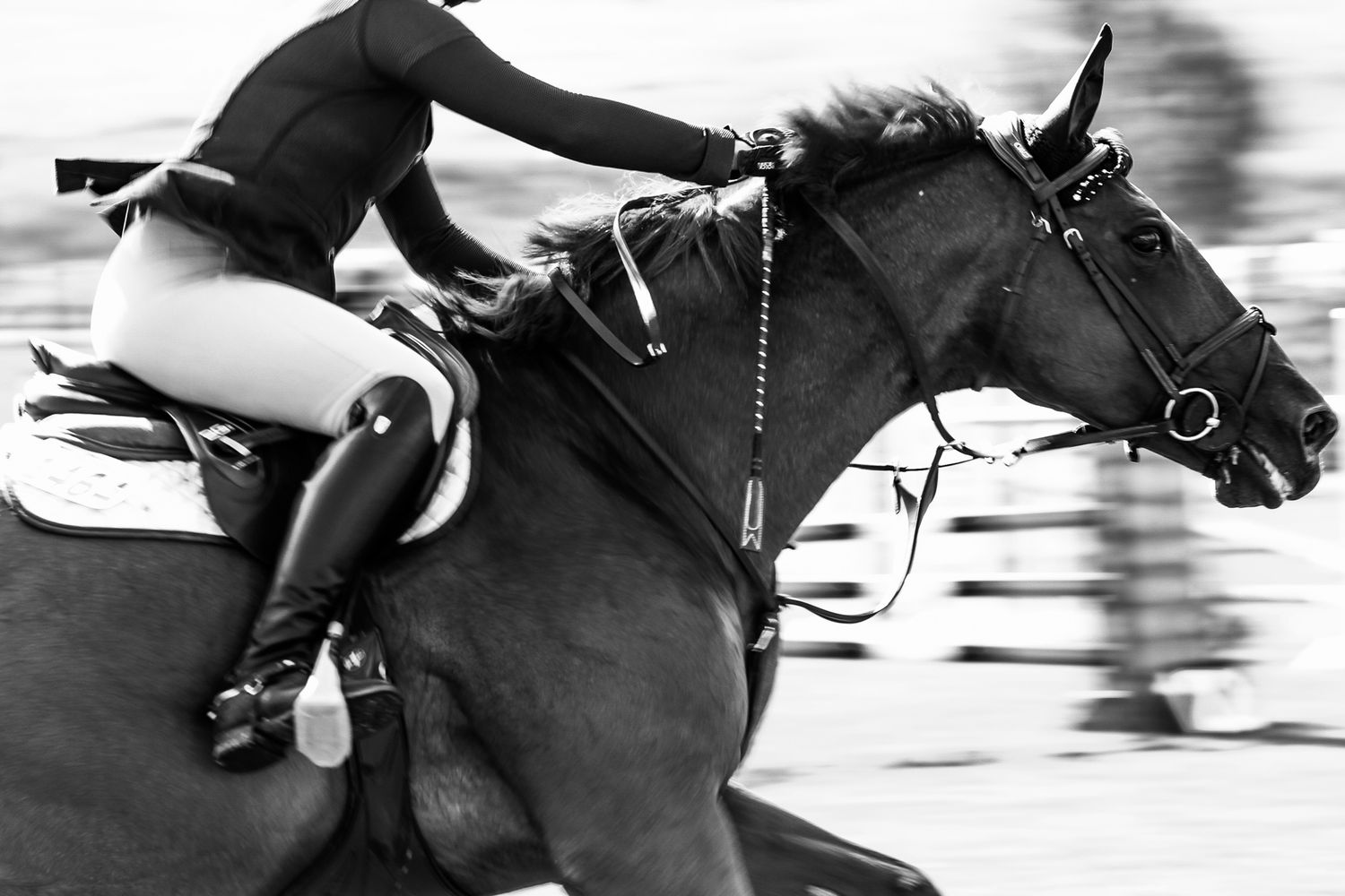 black and white photo of a horse running
