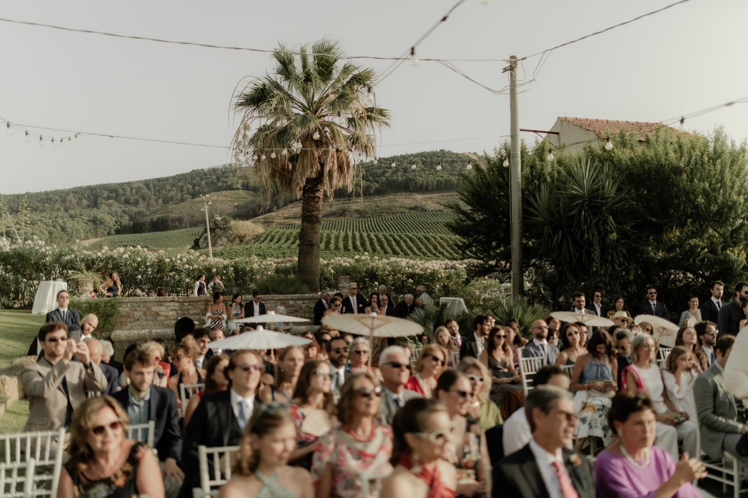 Outdoor wedding ceremony with guests seated in vineyard setting, palm tree and rolling hills in background.