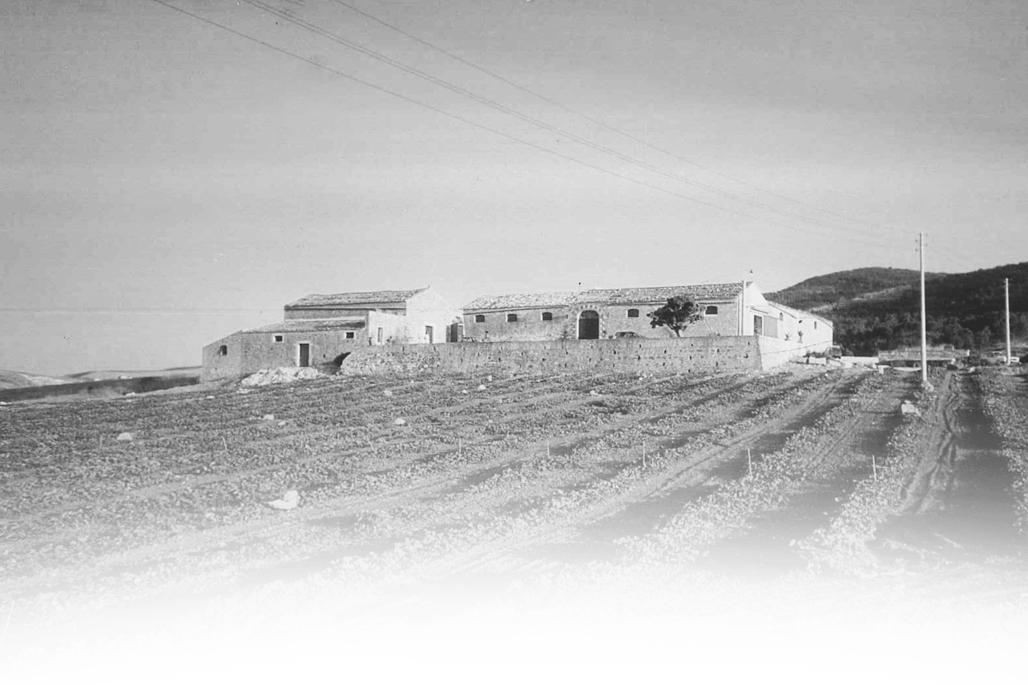 Black and white vintage photo of a rural stone farmhouse building on flat agricultural land.