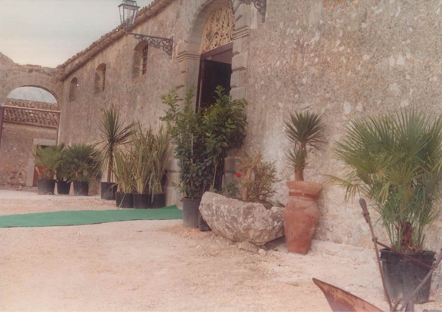 Historic stone building entrance with lush palm trees, terracotta pot, and green carpet pathway.