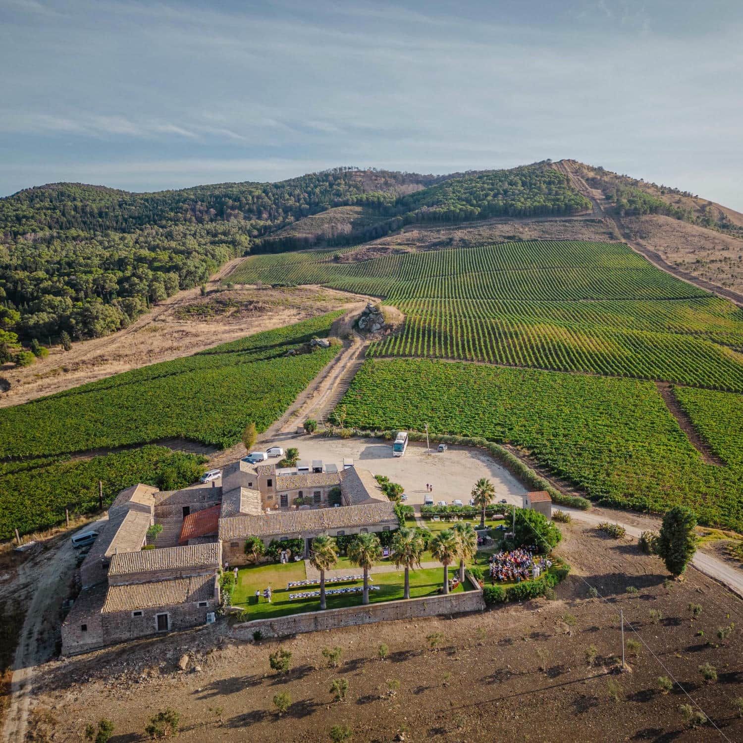 Aerial view of a stone farmhouse estate nestled among expansive green vineyard terraces.